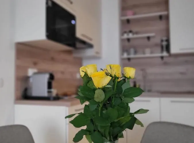 Antea With Free Parking 자다르